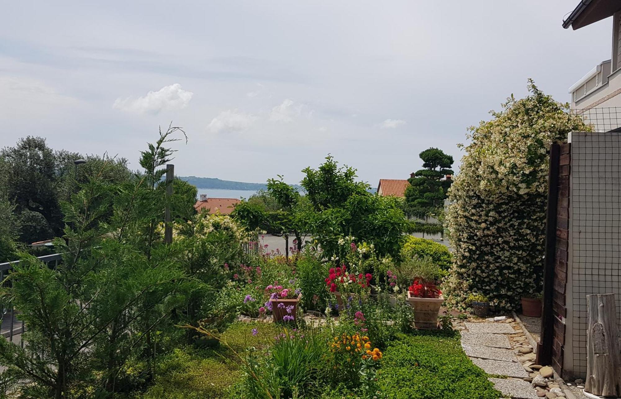 Tramontana Apartment Lucija Luaran gambar