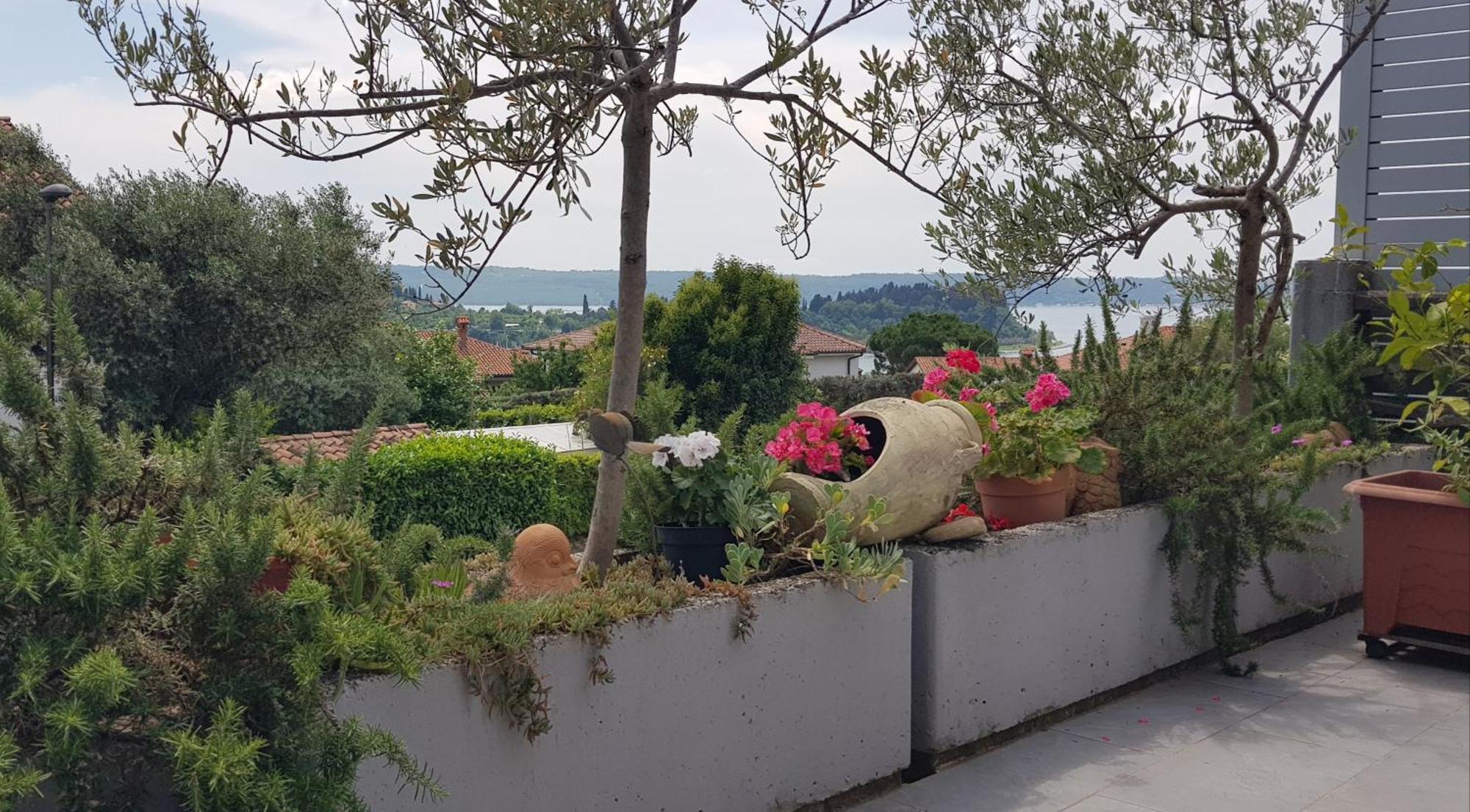 Tramontana Apartment Lucija Luaran gambar